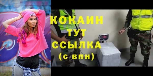 apvp Магас