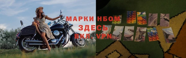 apvp Магас