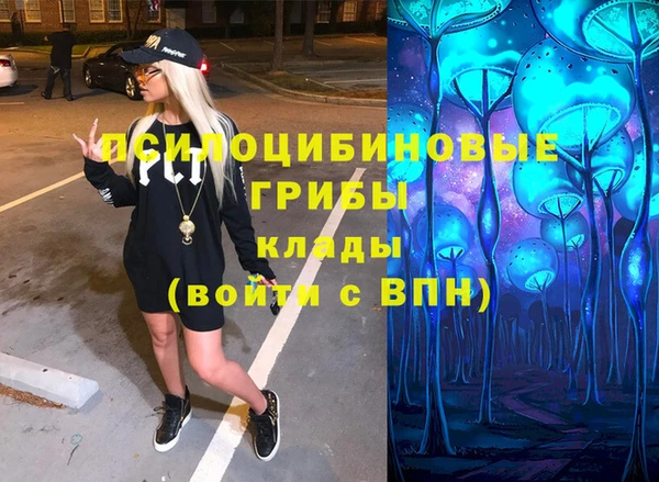 МДПВ Майский