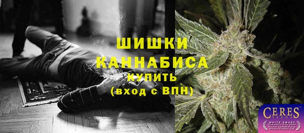 стафф Магадан