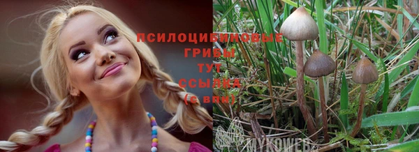 стафф Магадан