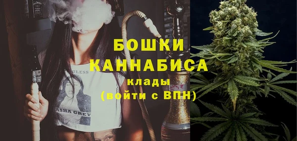 стафф Магадан
