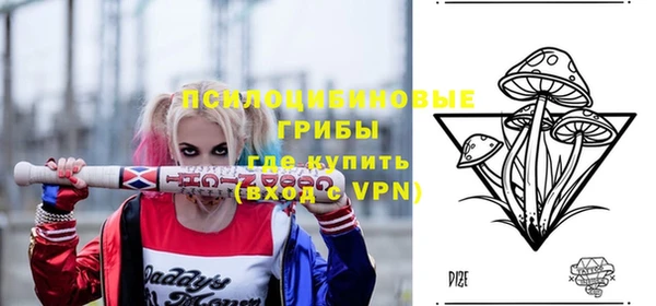 apvp Магас